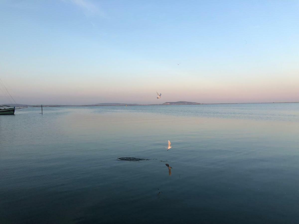 La Chambre Des Onglous Marseillan  Εξωτερικό φωτογραφία